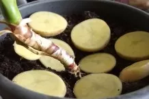 Mit Kartoffelscheiben gegen Obstfliegen