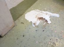 (Parkett-) Fußböden beim Bauen mit Kunstrasen schonen