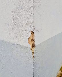 Mauerfugen flott ausfüllen