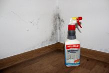 Schimmel auf Mauern bekämpfen mit Schimmelspray