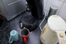 Neu im Job? Lästereien in der Kaffeeküche vermeiden