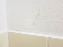Ausbesserung von (kleinen) Flecken / Macken an Wänden