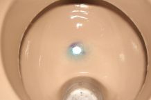 Waschbecken, Dusche & Toilette: Gerüche & Ablagerungen
