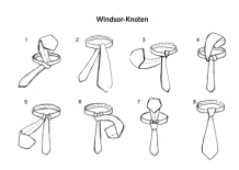 Windsor-Knoten