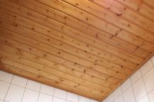 Nägel in Deckenleisten