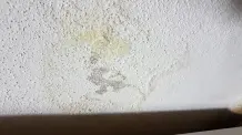 Salpeter im Mauerwerk entfernen