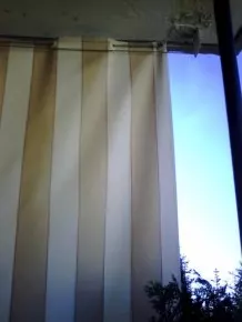 Sicht- & Geräuschutz für Terrasse oder Balkon selbst machen