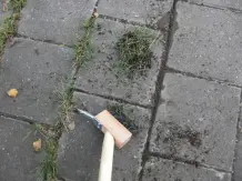 Unkraut bequem und rein mechanisch entfernen