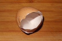 Eierschalen gegen Schnecken