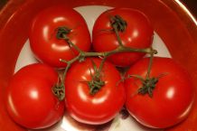 Viel mehr und viel größere Tomaten