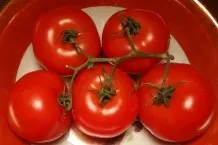 Viel mehr und viel größere Tomaten