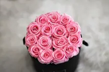 Rosen halten so länger