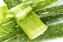 Bei Sonnenbrand schnelle Kühlung durch Aloe Vera