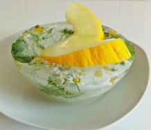 Dekorative Schale aus Eis herstellen
