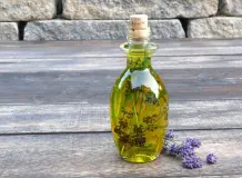Lavendel gegen Fliegen