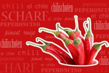 Chilischoten verarbeiten