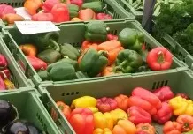 Worin unterscheiden sich grüne, gelbe und rote Paprika?