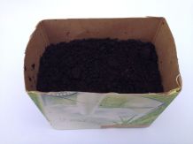 Tetrapack als Blumentopf - Kräuter aus der Milchtüte