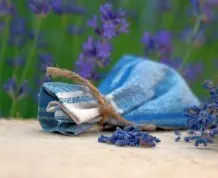 Lavendel ernten und Duftsäckchen selber machen