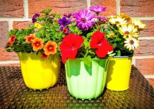 Staunässe im Blumentopf vermeiden