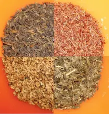 24 Tee-Kreationen als Adventskalender