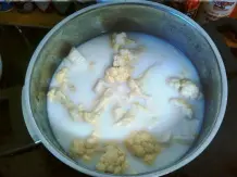 Blumenkohlragout mit Eieinlage