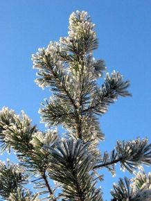 Fotografieren im Winter - ein paar Tipps