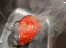 Einzelne Tomaten schnell & stromsparend häuten