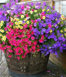 Bunter Blumenkübel