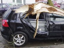Nach Sturm fällt ein Ast aufs Auto - was ist zu tun?