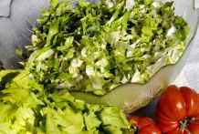 Endiviensalat mal anders