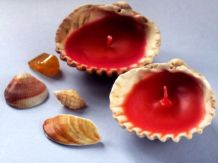 Muschelkerzen selbst machen