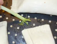 Backpinsel für herzhafte Gerichte