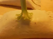 Backpinsel für herzhafte Gerichte