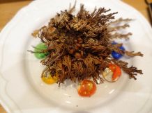Die Rose von Jericho - das Wunder des Lebens