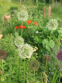 Torffreie Blumenerde selbst anmischen