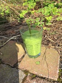 Grüner Smoothie