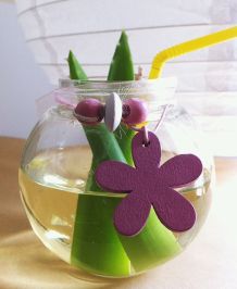 Aloe Vera-Kokoswasser