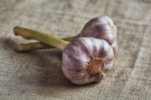 Knoblauch auf Vorrat und immer griffbereit