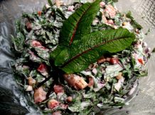 Blut-Sauerampfer-Salat – frisch und fruchtig