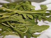 Bunten Salat frisch halten