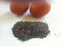 Ei-Ersatz beim Backen und Kochen - 7 Alternativen (vegan)