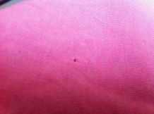 Kleine Löcher in der Kleidung verhindern