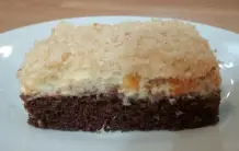 Sägespänekuchen mit Mandarinen
