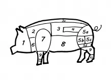 Fleischzuschnitte vom Schwein – was ist das beste Stück?