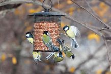 Tieren beim Überwintern helfen