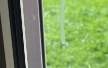 Fenster reinigen - Kalkspritzer, Wandfarbe, Fliegendreck etc.