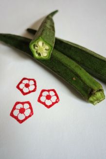 Blumenstempel aus Okraschoten