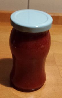 Ketchup selbst gemacht - fett-, zucker- und kalorienarm