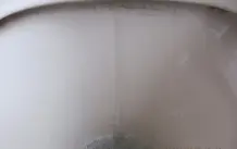Schwarze Streifen in der Toilettenschüssel entfernen